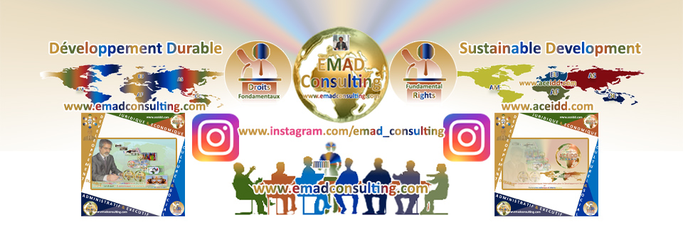 EMAD Consulting sur l'Instagram