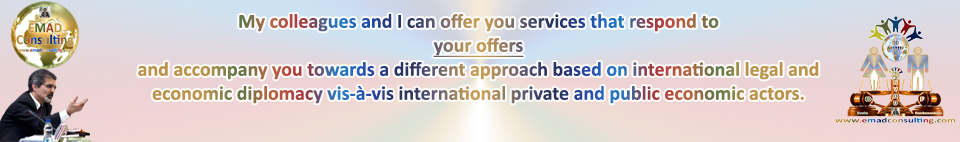 EMAD Consulting, Offers of Services