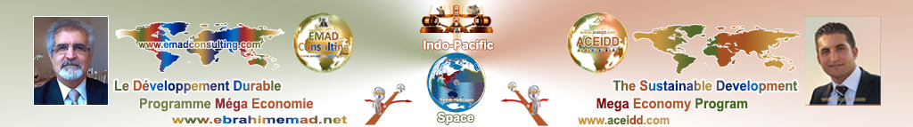 EMAD Consulting and ACEIDD, Practices of the International in Indo-Pacific Space