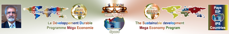 EMAD Consulting and ACEIDD, Practices of the International in Indo-Pacific Space