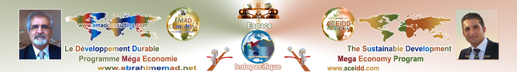 EMAD Consulting et ACEIDD, Pratique de l'International en Espace Indopacifique